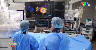 Kết nối 24h ngày 01-02-2026