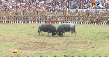 Kết nối 24h ngày 06-3-2026