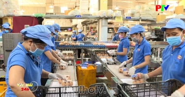 Kết nối 24h ngày 11-07-2026