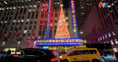 Kết nối 24h ngày 13-12-2025