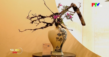 Kết nối 24h ngày 13-4-2026