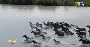 Kết nối 24h ngày 16-02-2026