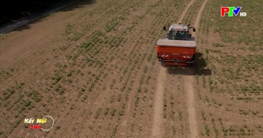 Kết nối 24h ngày 18-12-2025