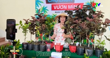 Kết nối 24h ngày 22-10-2026