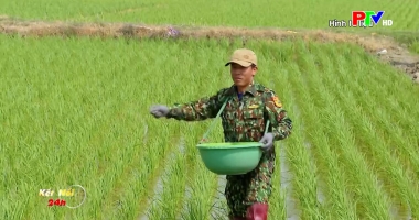 Kết nối 24h ngày 23-5-2026