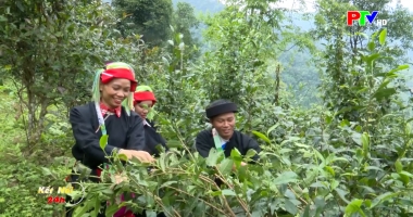 Kết nối 24h ngày 29-4-2026