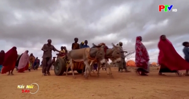 Kết nối 24h ngày 3-3-2026