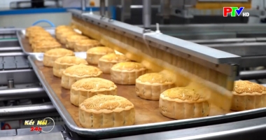 Kết nối 24h ngày 4-10-2025