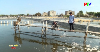 Kết nối 24h ngày 8-4-2026