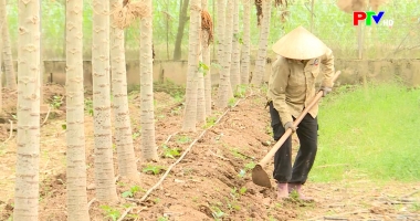 Kết nối thông tin, tạo việc làm tại chỗ