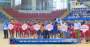 Khai mạc giải bóng đá thiếu niên, nhi đồng cup Truyền hình - VNPT