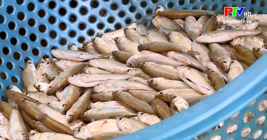 Khám phá ẩm thực Phù Ninh