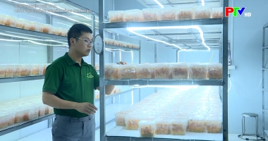 Khát vọng nông nghiệp công nghệ cao