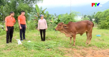 Khó khăn của phụ nữ nghèo và phụ nữ vùng đồng bào dân tộc thiểu số