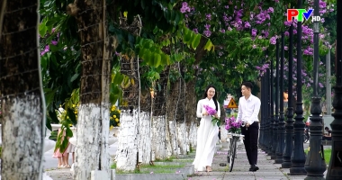 Khoảnh khắc - Hoa bằng lăng