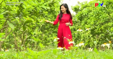 Khoảnh khắc - Hương bưởi tháng 3