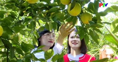 Khoảnh khắc - Hương sắc mùa cam