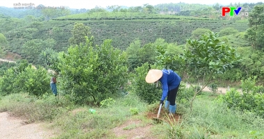 Khởi nghiệp - Thanh niên dám nghĩ dám làm
