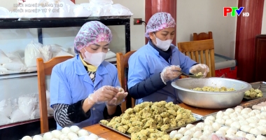 Khởi nghiệp từ ý chí