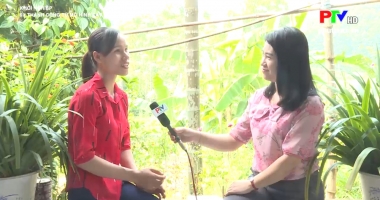 Khởi nghiệp: 9x thành công từ mô hình cây ăn quả