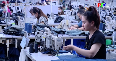 Kiện toàn công tác vệ sinh an toàn lao động