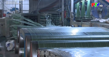 Kiên trì gặt hái thành công