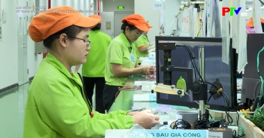 Kỳ vọng của người lao động trước thềm xuân mới