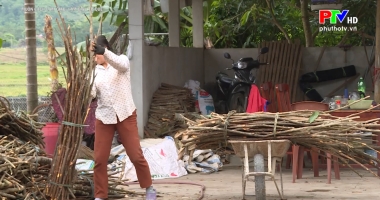 Làm giàu từ quế