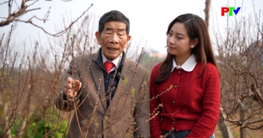 Làng hoa đón xuân