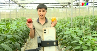 Lao động trẻ và xu hướng chọn nghề mới