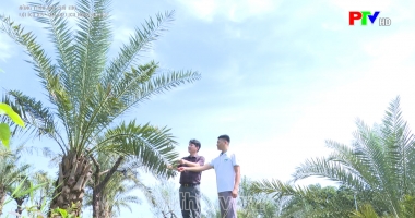 Lợi ích kép của du lịch nông nghiệp