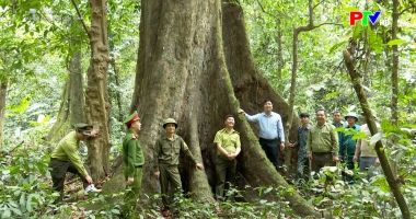 Màu xanh nguyên sinh