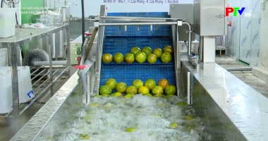 Mỗi xã một sản phẩm - Từ nhận thức đến hành động