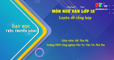 Môn Ngữ văn lớp 12 - Luyện đề tổng hợp