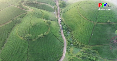 Một ngày ở Long Cốc