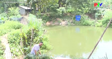 Muôn cách làm giàu - Nuôi giun quế