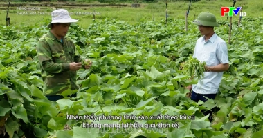 Tiếng Mường – Chuẩn hóa chất lượng – nâng tầm nông sản