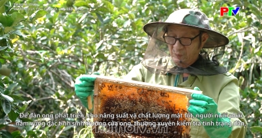 Tiếng Mường: Người có uy tín – cầu nối của bản làng