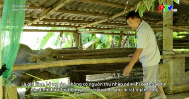 Tiếng Mường – Hành trình giảm nghèo