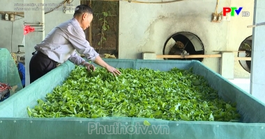 Nâng cao chất lượng sản phẩm OCOP