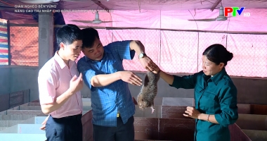 Nâng cao thu nhập đồng bào dân tộc thiểu số