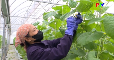 Nâng tầm giá trị nông sản địa phương