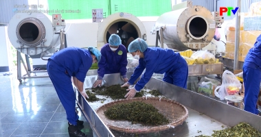 Nâng tầm thương hiệu - Đồng hành trong xây dựng và bảo vệ thương hiệu