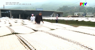 Nâng tầm thương hiệu - Gắn thương hiệu với chất lượng và uy tín