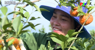 Nâng tầm thương hiệu - Khẳng định giá trị từ nhãn hiệu tập thể