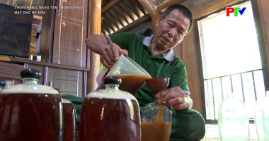 Nâng tầm thương hiệu - Mật ong Mỹ Hòa