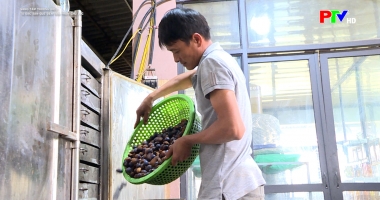 Nâng tầm thương hiệu - Từ đặc sản quê đến sản phẩm chủ lực