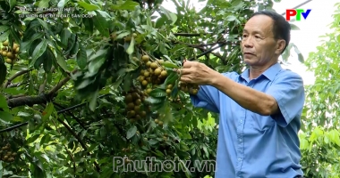 Nâng tầm thương hiệu - Từ vườn quê đến đặc sản OCOP