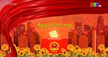 Ngày hội non sông
