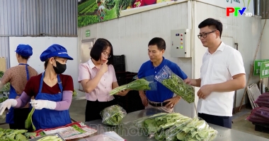 Phú Thọ ngày mới ngày 24-09-2026